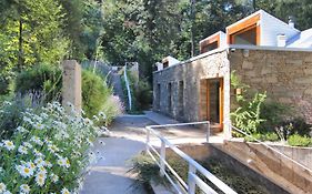 Kalasur Patagonia Apart Hotel
